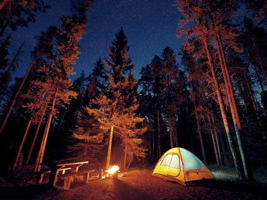 Camping - Wild Frontier Gear LLC