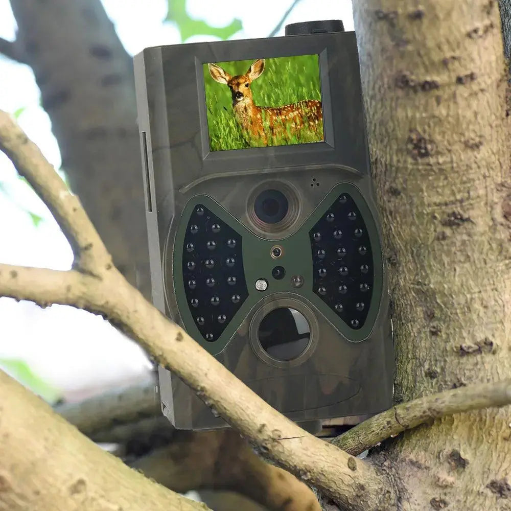 1080P 16MP Infrared Trail Camera with Night Vision for Outdoor Hunting and Surveillance - Wild Frontier Gear LLC