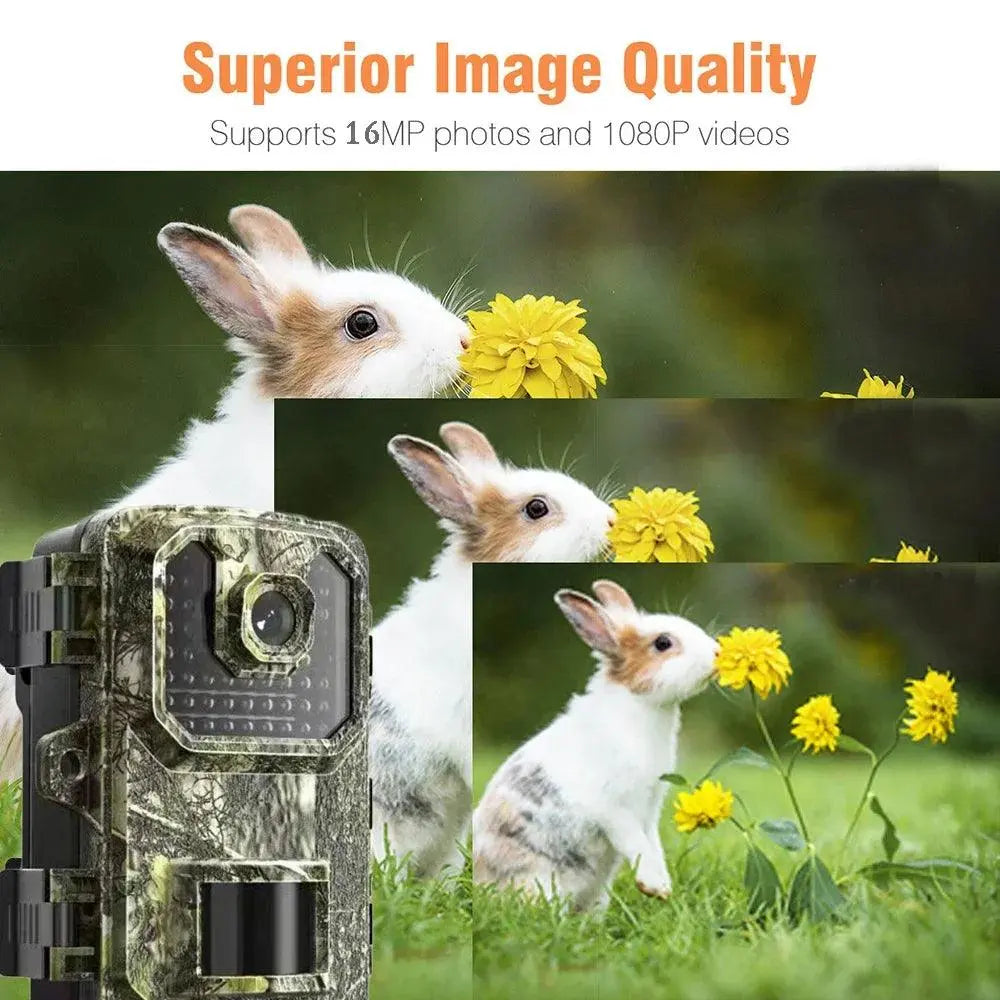 Compact Wildlife Surveillance Camera with Night Vision and Motion Detection - Wild Frontier Gear LLC