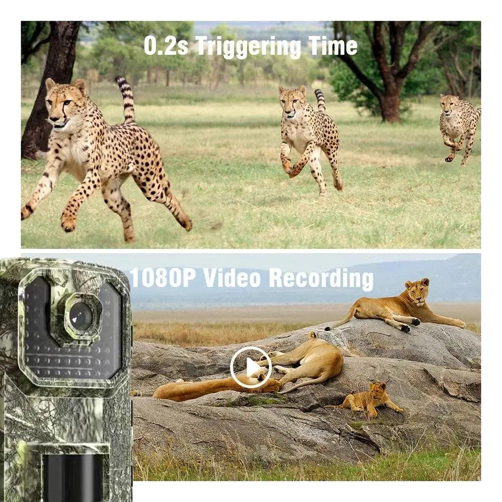 Compact Wildlife Surveillance Camera with Night Vision and Motion Detection - Wild Frontier Gear LLC
