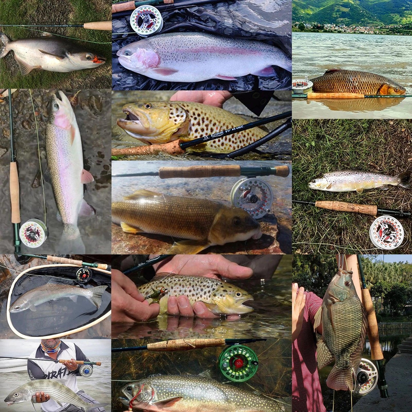 Maximumcatch 3-8WT Fly Fishing Rod And Reel Combo Set 8'6''/9' Medium-fast Fly Rod Pre-spooled Fly Reel & Line &Triangle Tube - Wild Frontier Gear LLC