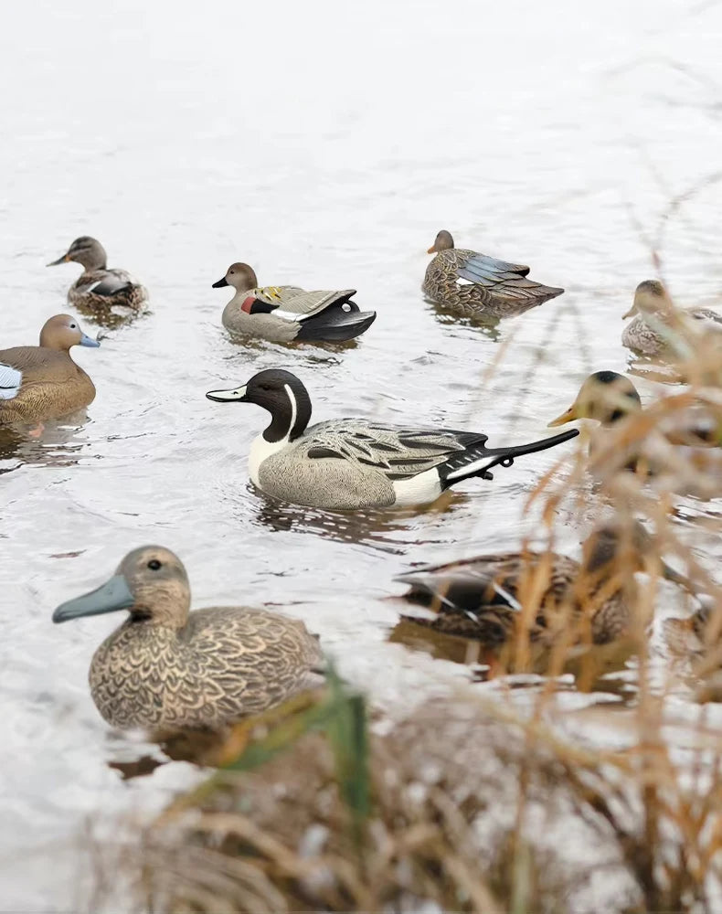 3D Plastic Duck Decoy Imitate Pheasant Duck Floating Decoy Weatherproof Decorations Floating Outdoor Garden Pond Park Lake