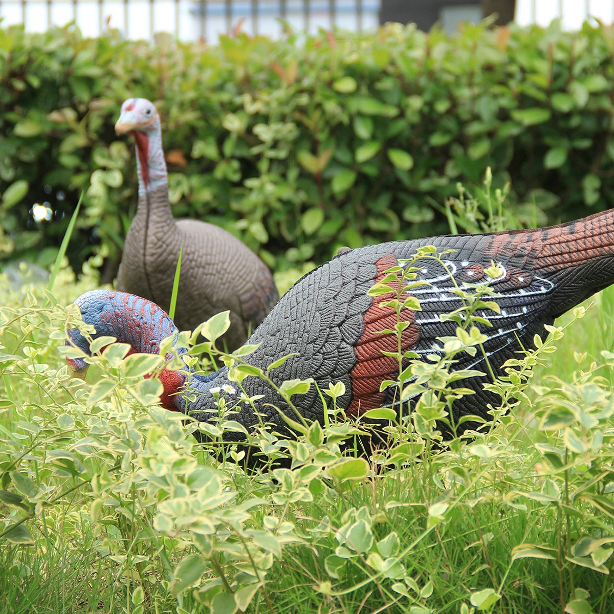 1 Pair Lifelike Collapsible Jake & Hen Turkeys Decoy for Hunting with Stakes Carry Bag Collapsible Lightweight
