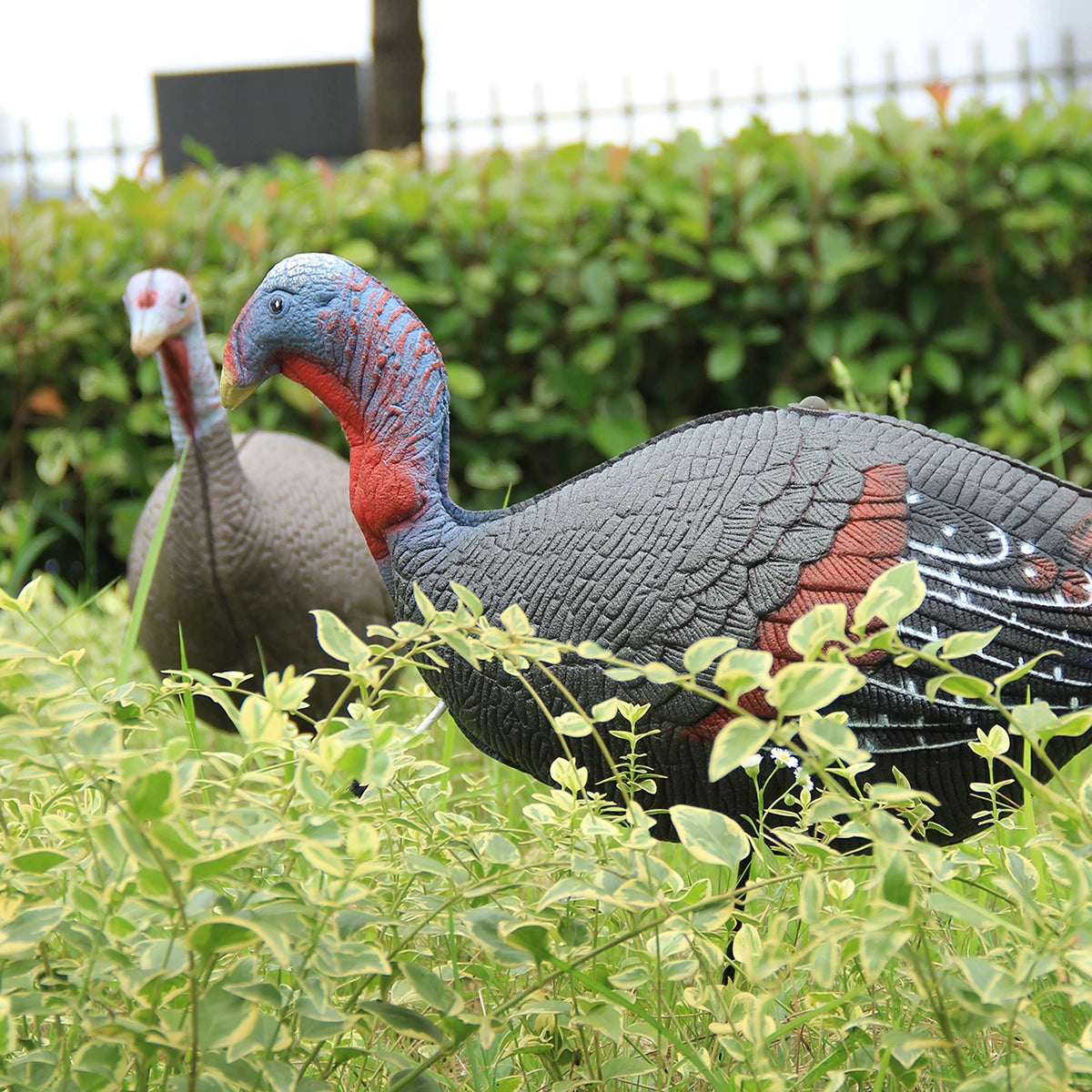 1 Pair Lifelike Collapsible Jake & Hen Turkeys Decoy for Hunting with Stakes Carry Bag Collapsible Lightweight