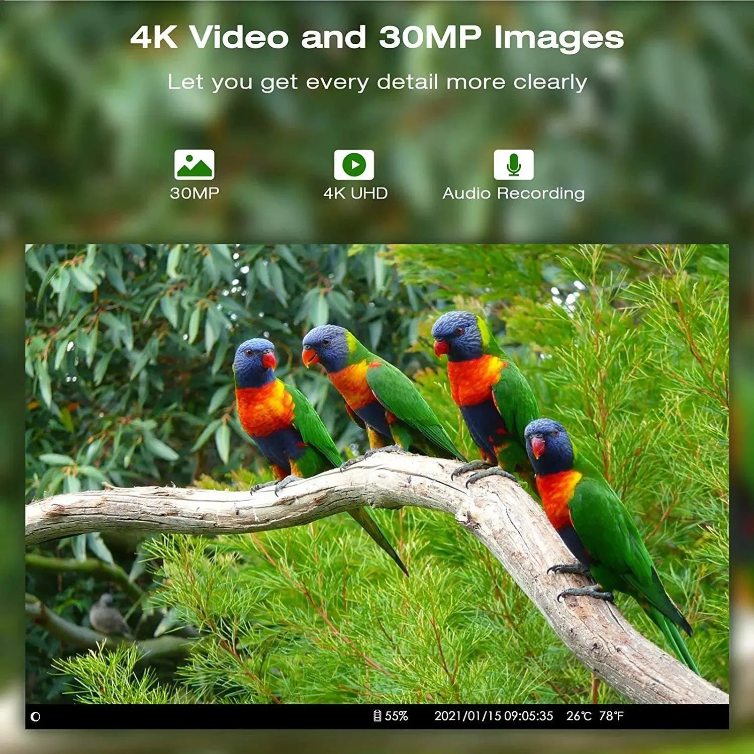 4G Wireless 30MP HD Trail Camera with Live Streaming and Cloud Support for Wildlife Surveillance and Hunting - HC900PRO - Wild Frontier Gear LLC