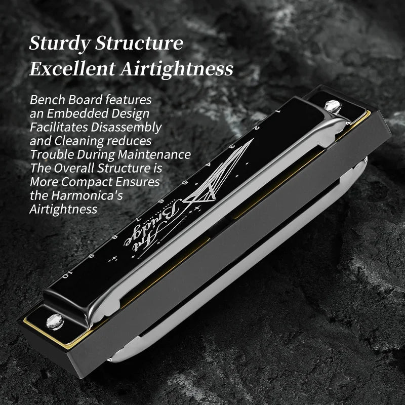 Blues Harmonica Mouth Organ 10 Hole C Key with Case, Diatonic Harmonica for Professional Player, Beginner, Students gifts, Adult Wild Frontier Gear LLC