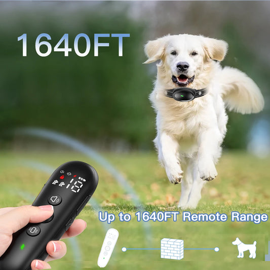 Dog Shock Collar With Remote Dog Collars For Medium Dogs Dog Training Collar Waterproof With Adjustment Levels Shock Collar