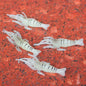 10pcs Wholesale Bionic Glow-in-the Dark Fake Shrimp Lure 4cm With Hook Smell Soft Shrimp Lure