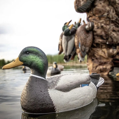 Hunting Floaters Floating Duck Decoy 3D Decoy Lure with Keel for Outdoor Hunting Fishing Accessories Realistic Bird Float