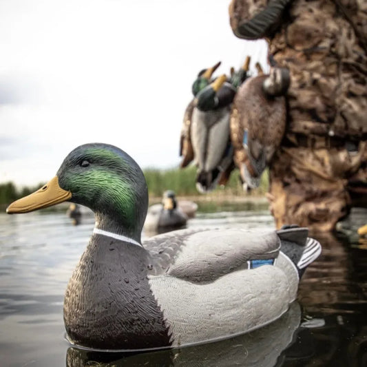 Hunting Floaters Floating Duck Decoy 3D Decoy Lure with Keel for Outdoor Hunting Fishing Accessories Realistic Bird Float