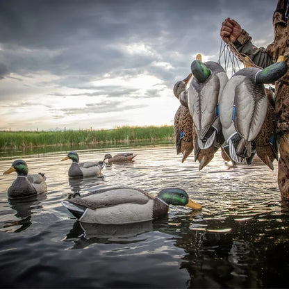 Hunting Floaters Floating Duck Decoy 3D Decoy Lure with Keel for Outdoor Hunting Fishing Accessories Realistic Bird Float