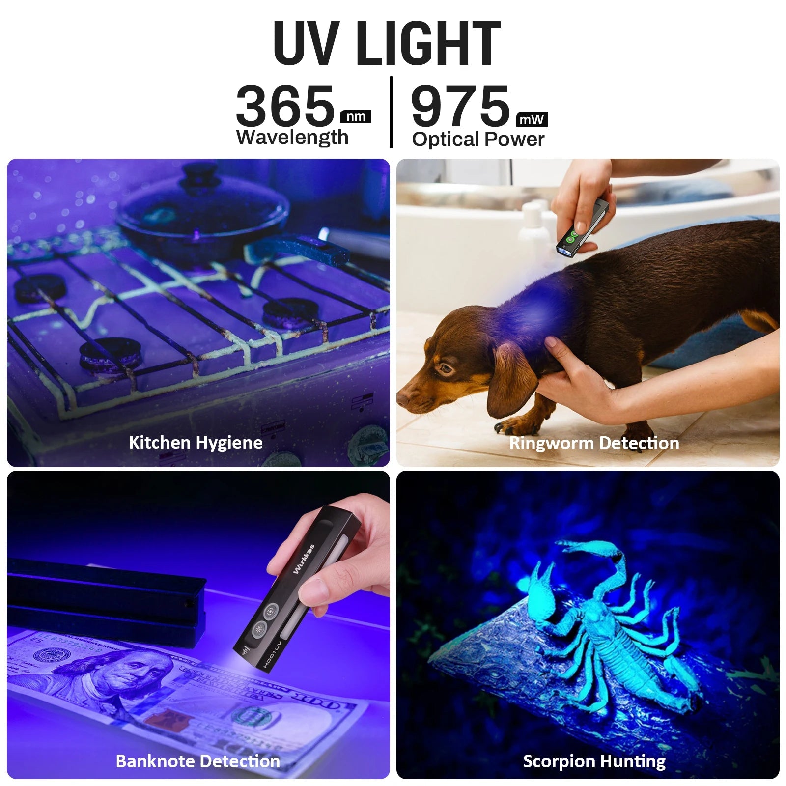 Wurkkos HD01 UV Multifunctional EDC Flashlight 1200 LM with 365nm UV light White flood 90CRI LED Side RGB Lights IP65 Waterproof Wild Frontier Gear LLC